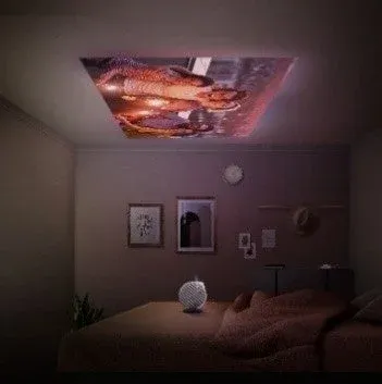 寝室の天井に投影された恐竜の映像