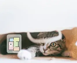 何か物の下から顔を覗かせているタビー柄の子猫の画像