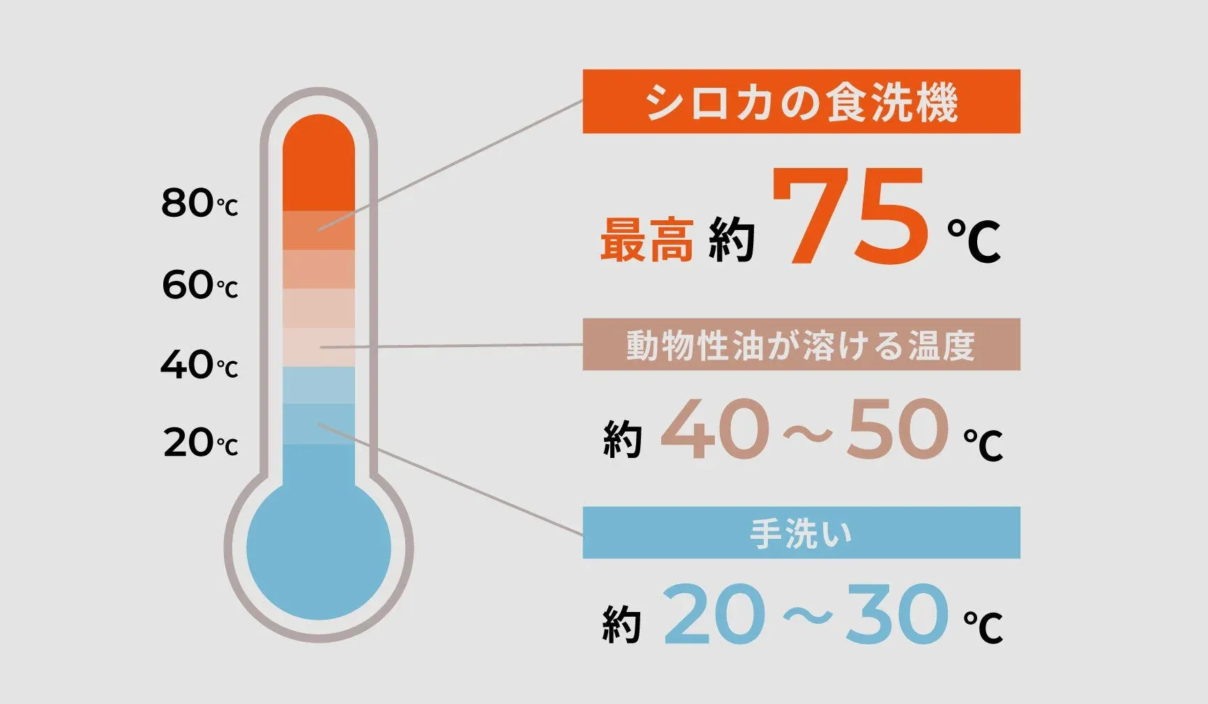 洗浄温度のグラフ
