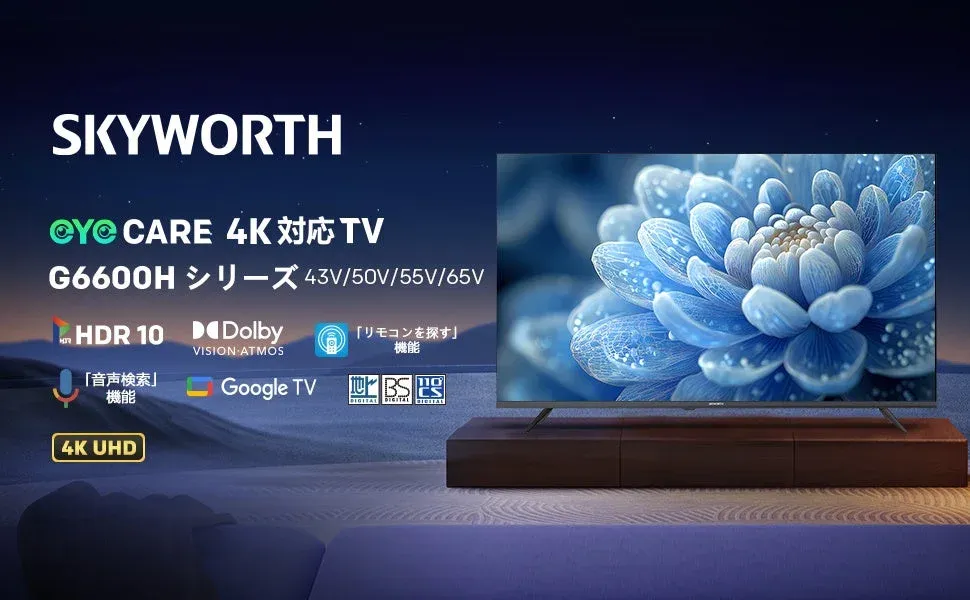 SKYWORTH 4K対応 TV G6600H