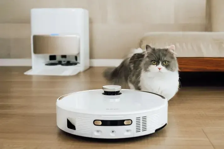 猫とロボット掃除機、自動ゴミ収集スタンド