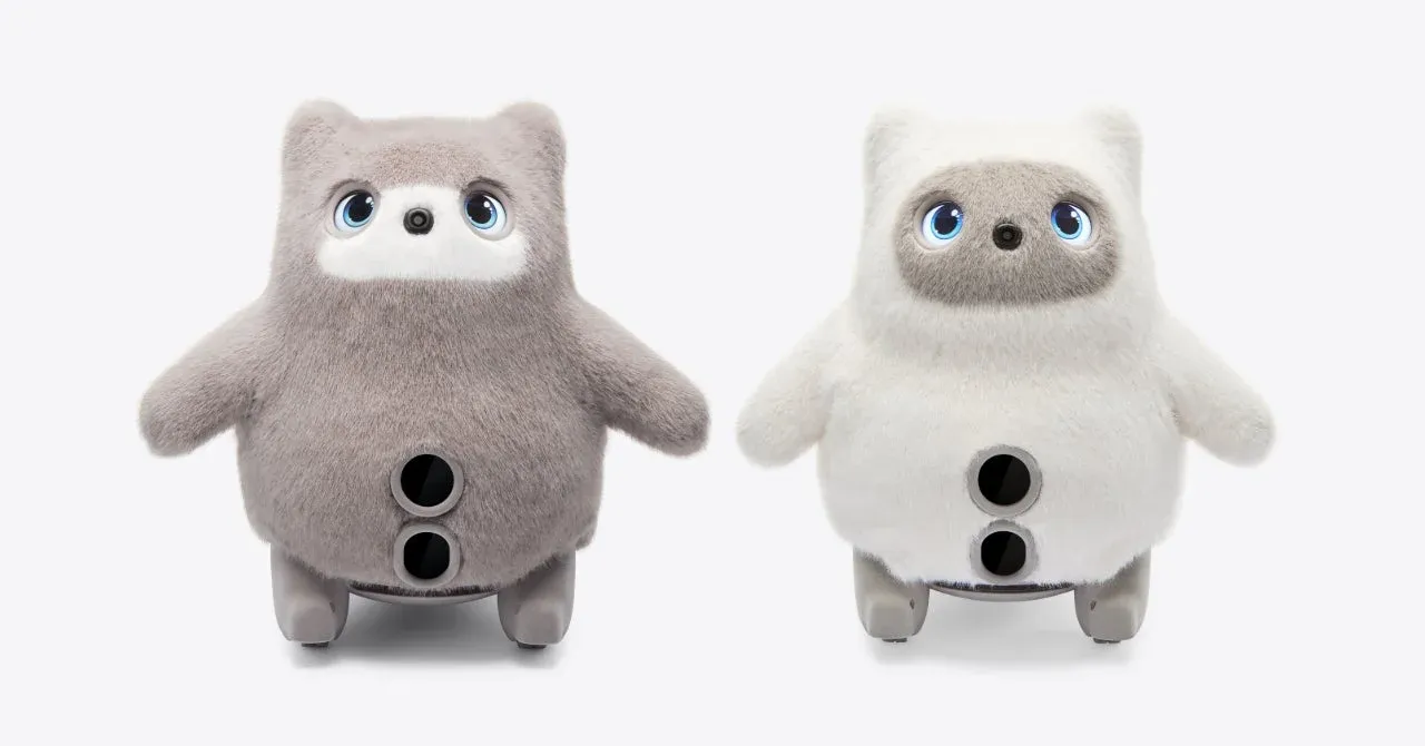 2体のKATAフレンズ