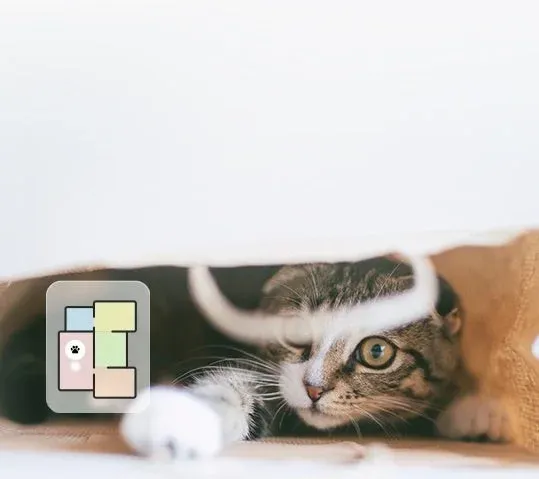 茶色い布や袋の中から顔を覗かせているタビー柄の猫。大きな目を開けてこちらを見つめる様子が可愛らしいです。