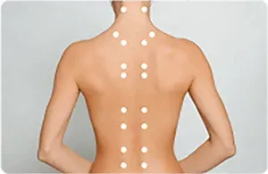 肩位置自動検索システムのイメージ