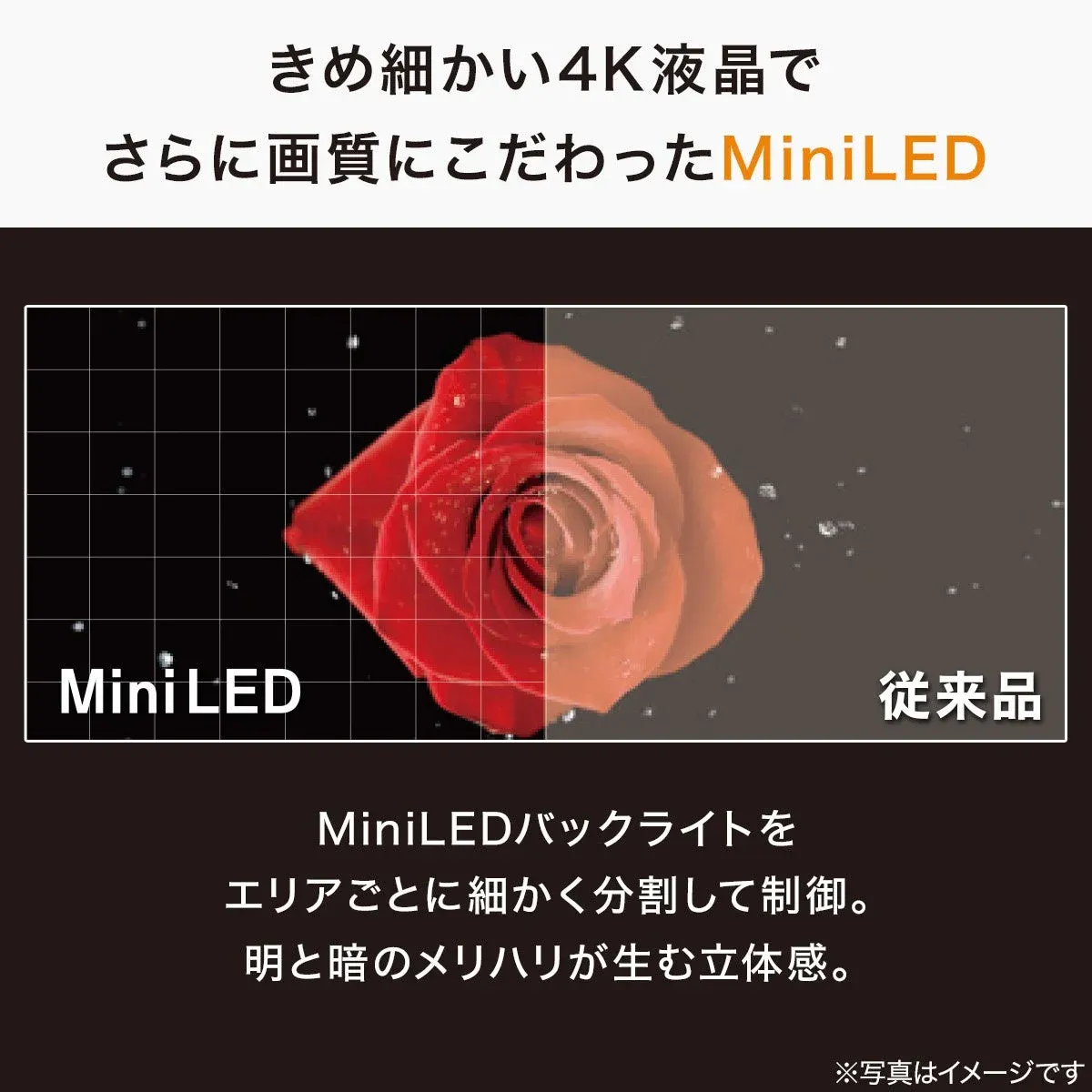 Mini LEDの画質比較