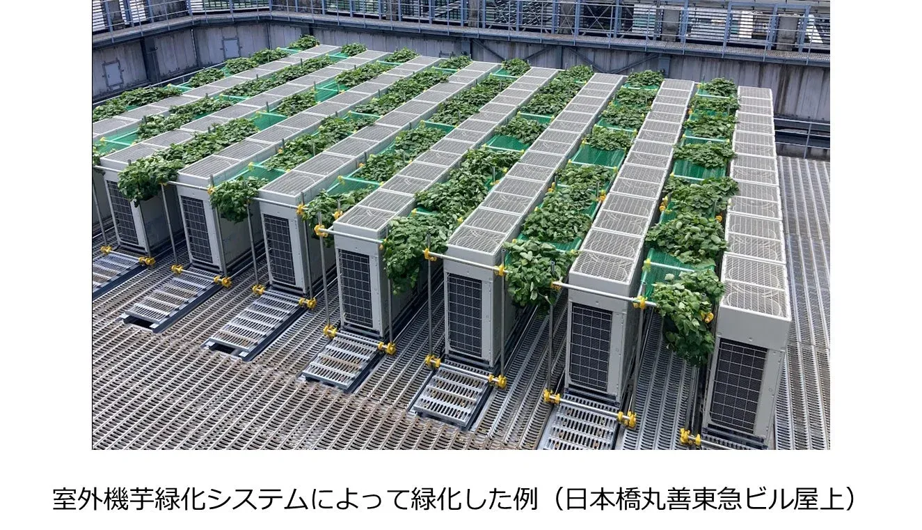 室外機緑化システムによって緑化した例