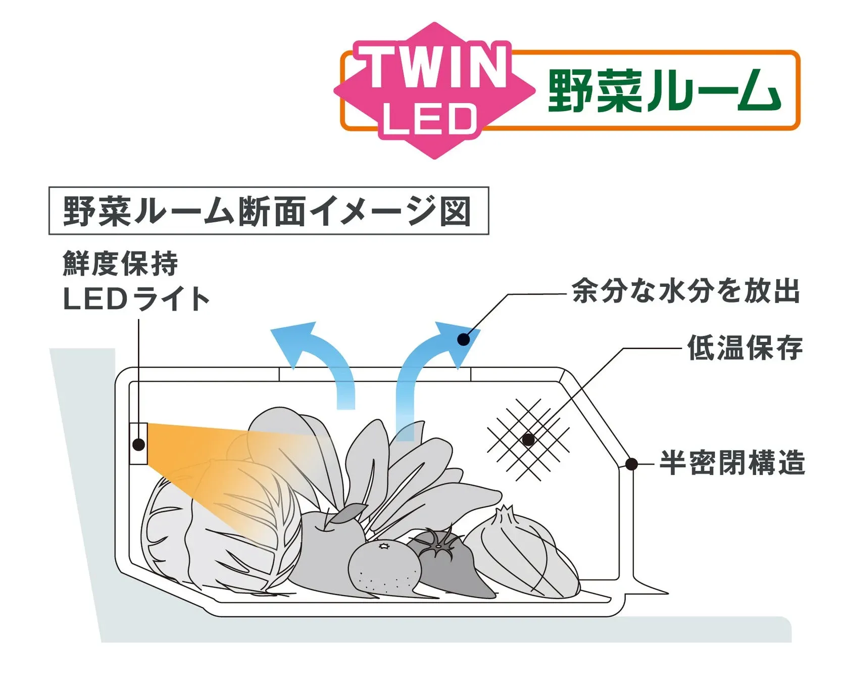 旬鮮野菜ルームの構造とLEDライト