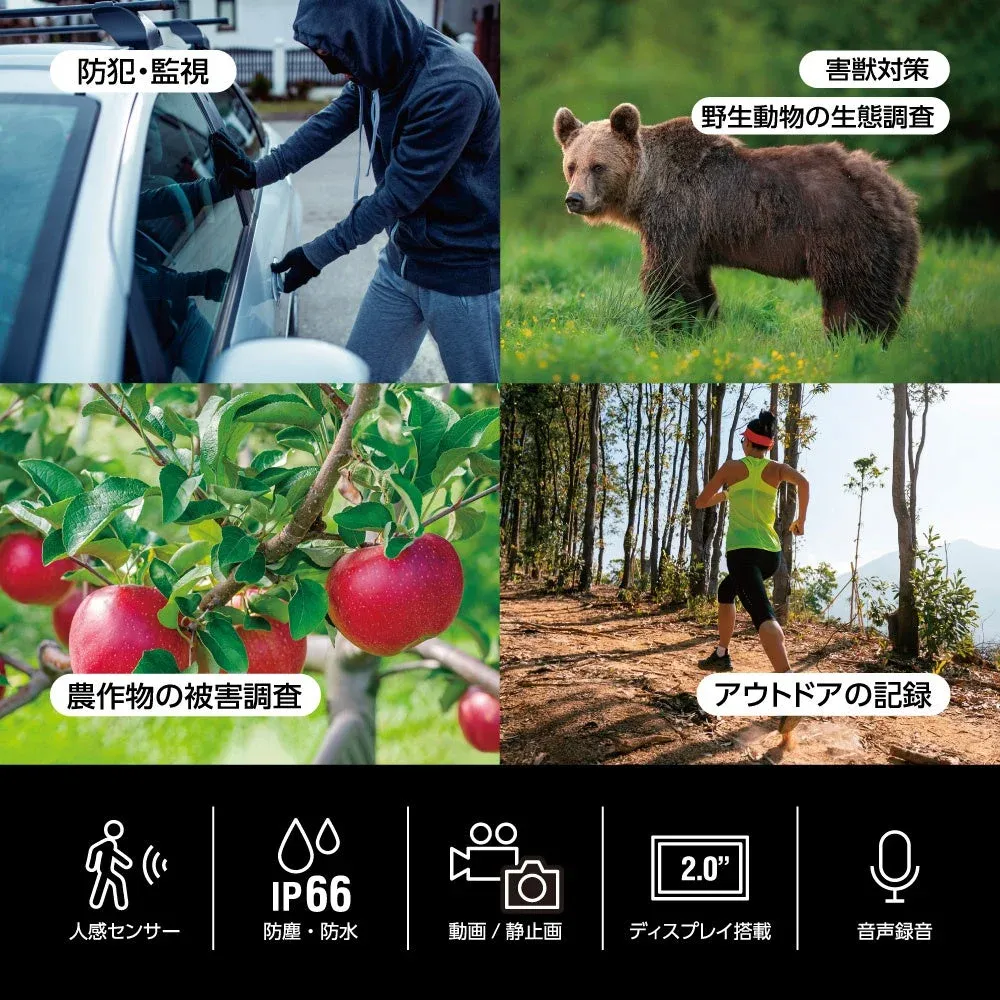 防犯・監視、害獣対策などの用途とIP66防水防塵