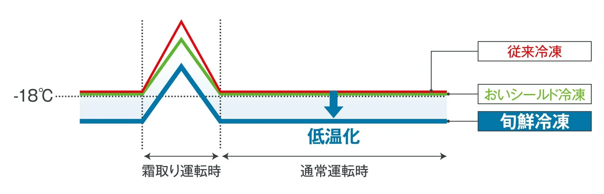 旬鮮冷凍による温度変化グラフ