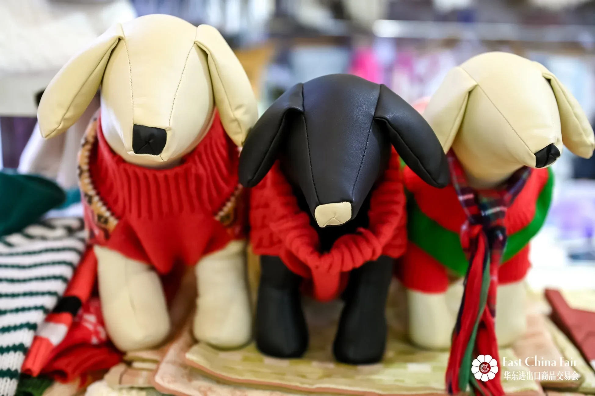 ペット関連製品の展示