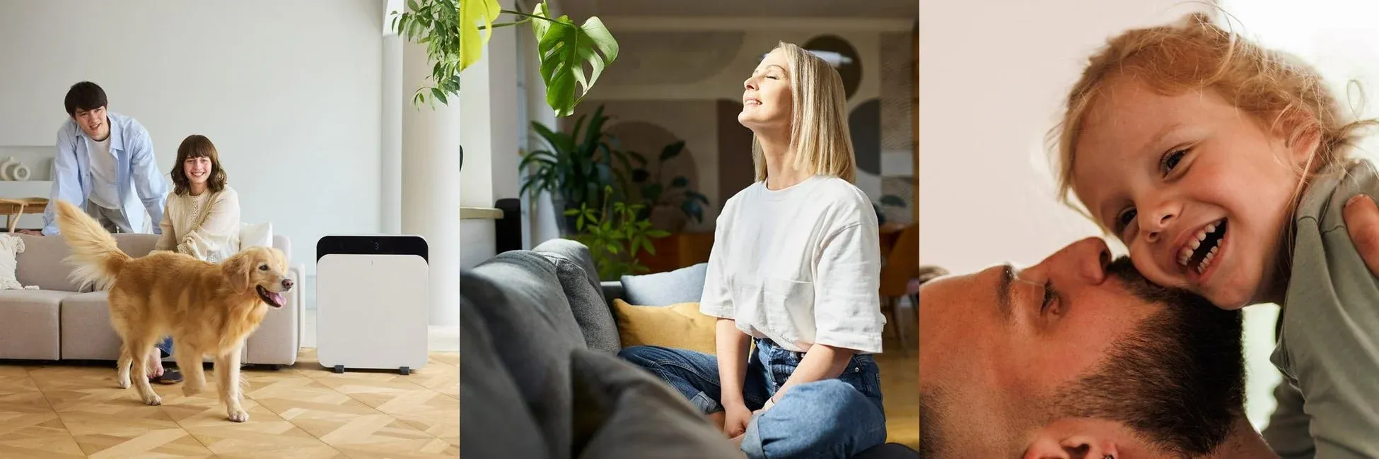 家族とペット、リビングの空気清浄機